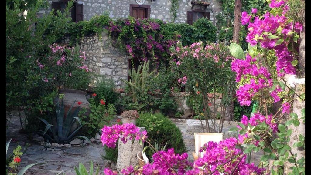 Medusa House Butik Hotel Didim Exterior photo