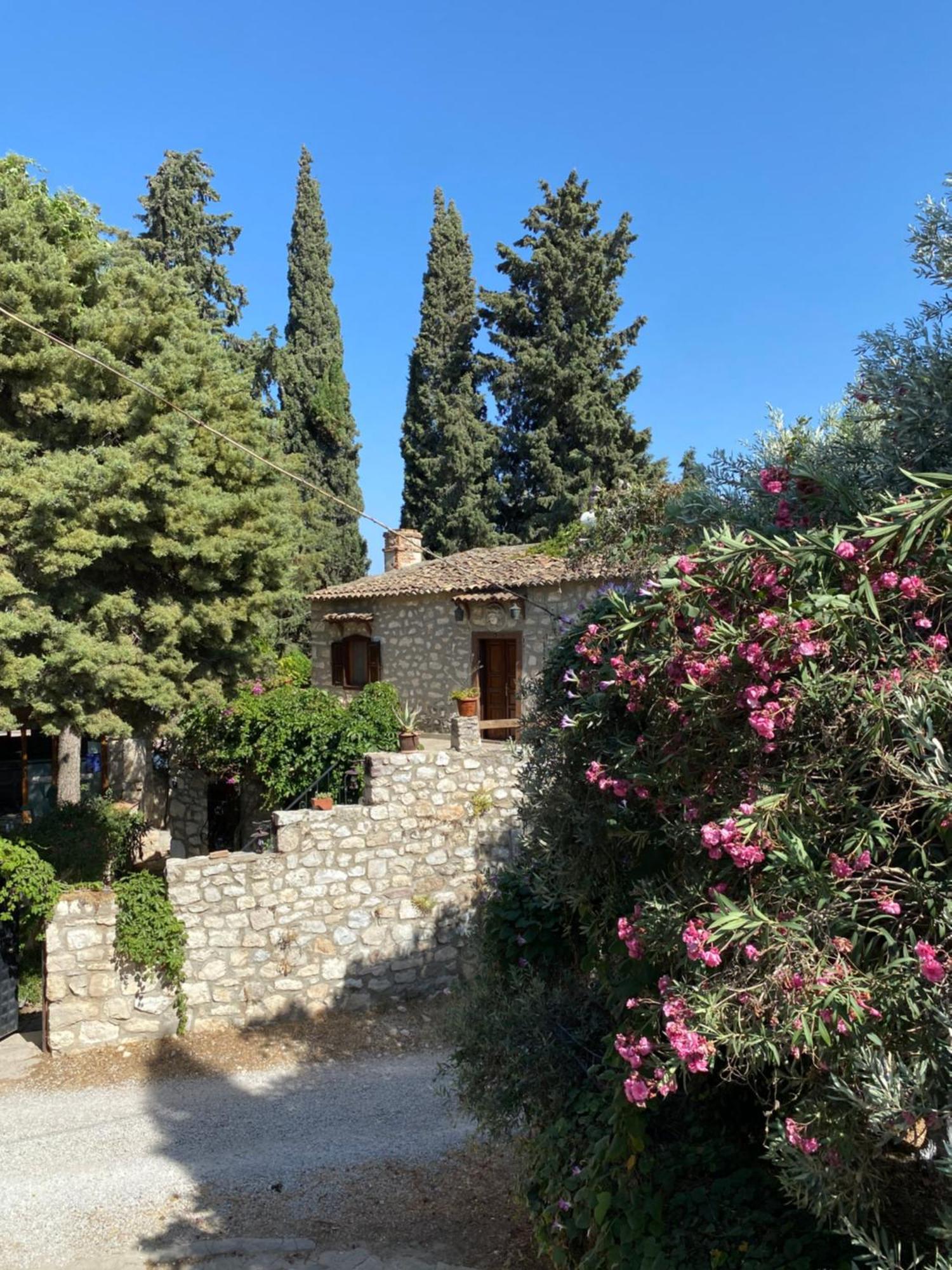 Medusa House Butik Hotel Didim Exterior photo