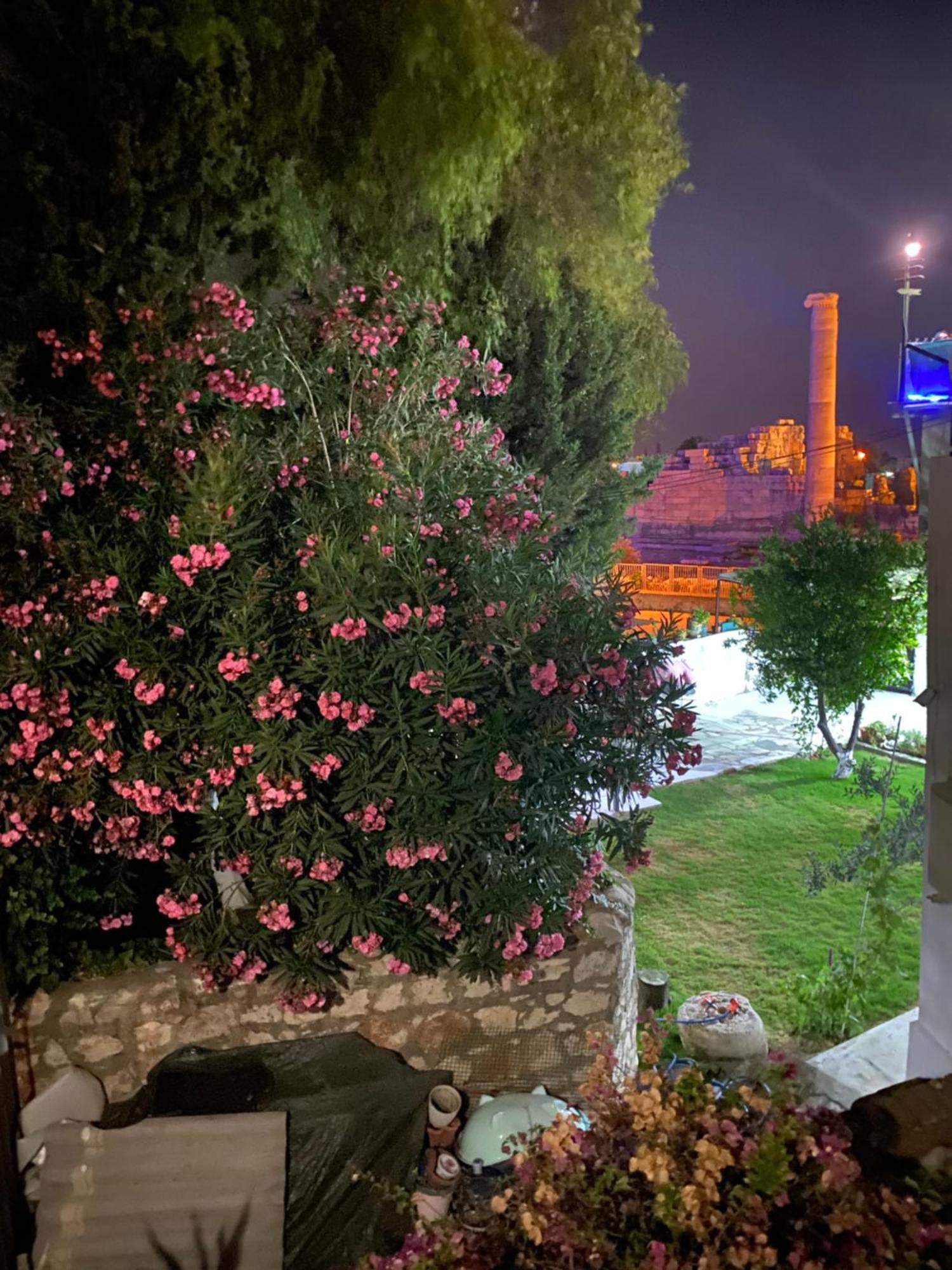 Medusa House Butik Hotel Didim Exterior photo