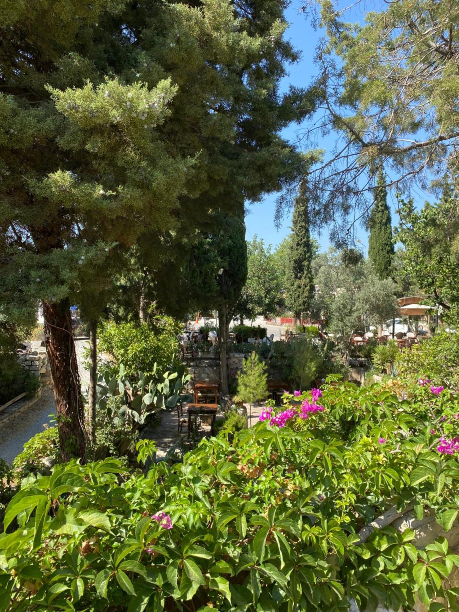 Medusa House Butik Hotel Didim Exterior photo